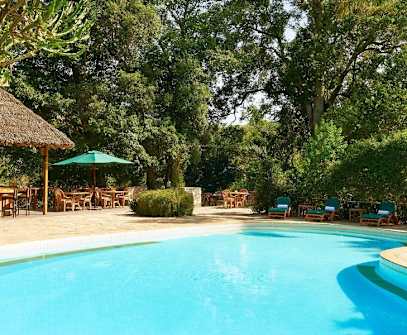 Hotelbild 1 für Fairmont Mara Safari Club 