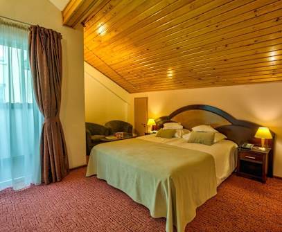 Hotelbild 5 für Hotel Ambient