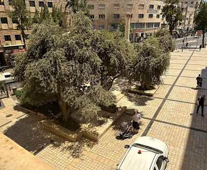 Hotelbild 1 für Lev Yerushalayim