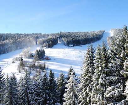 Hotelbild 2 für Pytloun Wellness Hotel Harrachov