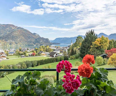 Hotelbild 6 für Hollweger