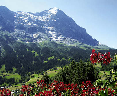 Hotelbild 2 für Jungfrau Lodge Swiss Mountain Hotel