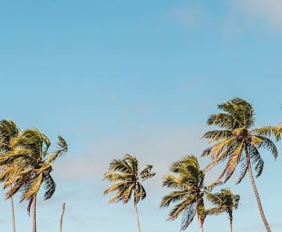 Hotelbild 1 für Vive Waikiki 