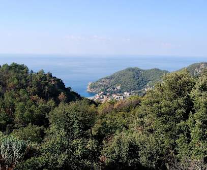 Hotelbild 7 für Hotel Cinque Terre