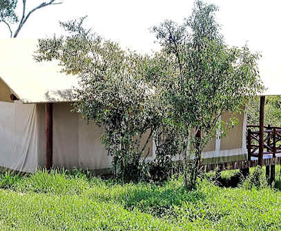 Hotelbild 3 für Ashnil Mara Camp