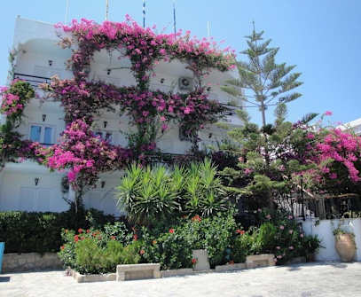 Hotelbild 3 für Skala Hotel Patmos