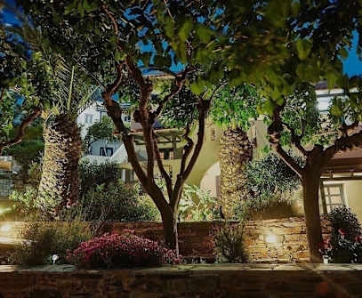 Hotelbild 3 für Irene Studios Andros