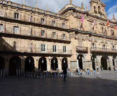 Hotelbild 1 für Sercotel Las Torres Salamanca