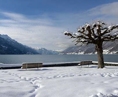 Hotelbild 2 für Hotel Brienz
