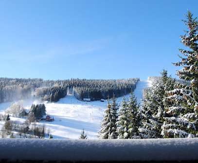 Hotelbild 1 für Pytloun Wellness Hotel Harrachov