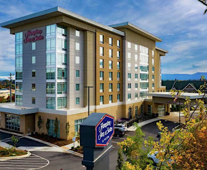 Hotelbild 8 für Hampton Inn & Suites Asheville Biltmore Area