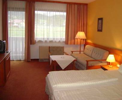 Hotelbild 4 für Vitalhotel Gosau