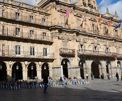 Hotelbild 4 für Sercotel Las Torres Salamanca