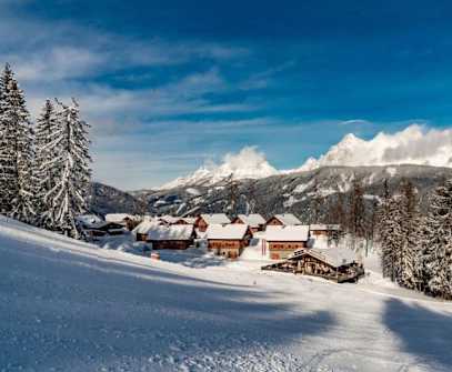 Hotelbild 2 für Almwelt Austria