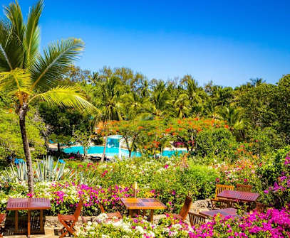 Hotelbild 3 für Diani Sea Resort