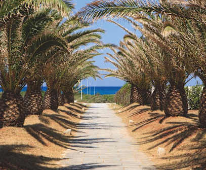 Hotelbild 5 für Grand Hotel Masseria Santa Lucia