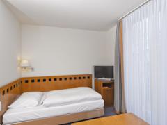 Zimmerbild 13