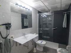 Zimmerbild 29