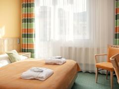 Zimmerbild 13
