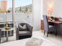 Zimmerbild 12