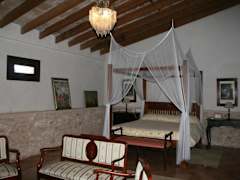 Zimmerbild 3