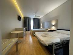 Zimmerbild 6