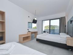 Zimmerbild 1