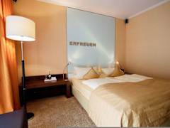 Zimmerbild 8
