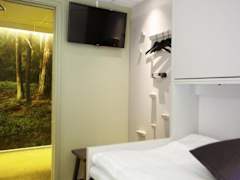 Zimmerbild 5
