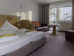 Zimmerbild 6