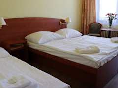 Zimmerbild 1