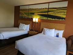 Zimmerbild 3