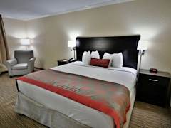 Zimmerbild 8