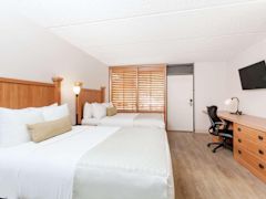 Zimmerbild 2