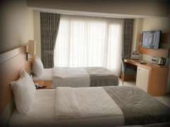 Zimmerbild 6