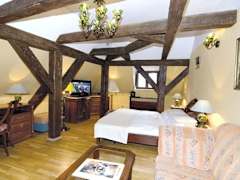 Zimmerbild 9