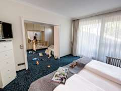 Zimmerbild 11
