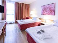 Zimmerbild 9