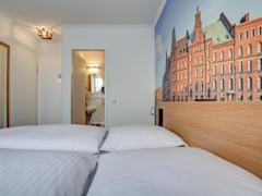 Zimmerbild 9