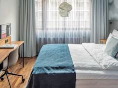 Zimmerbild 8