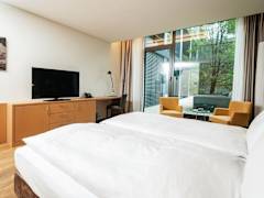 Zimmerbild 8
