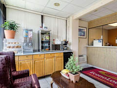 Zimmerbild 4