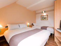 Zimmerbild 6