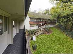 Zimmerbild 3