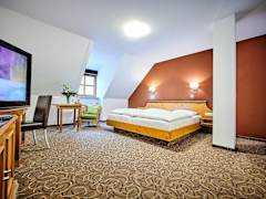 Zimmerbild 9