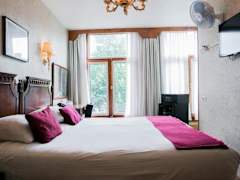Zimmerbild 22