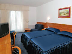 Zimmerbild 9