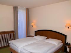 Zimmerbild 10