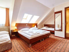 Zimmerbild 7