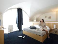 Zimmerbild 11